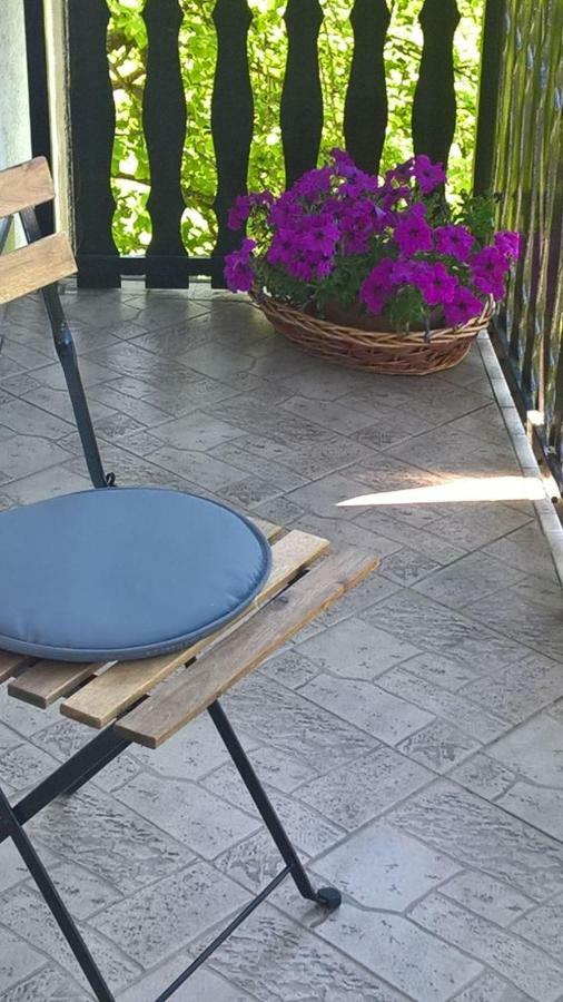 Apartman Ružica Ogulin Bagian luar foto